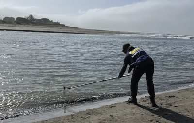 An Environmental Health Services worker in a high-visibility vest uses a long sampling pole to collect a water sample from the shoreline at a foggy beach.